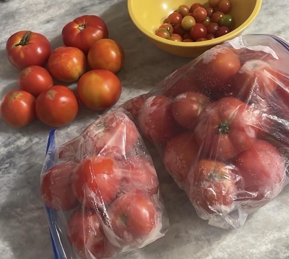 Why you don’t need to own a farm to grow food in Tampa&nbsp;Bay